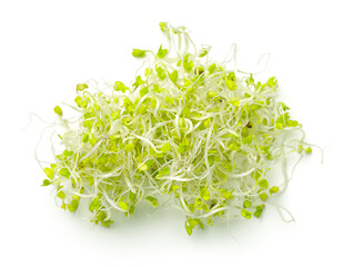 Healthy Broccoli Sprouts Isolated On White Background