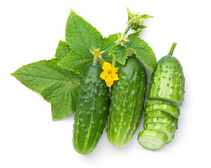 Fresh Ground Cucumbers With Leaves And Flowers