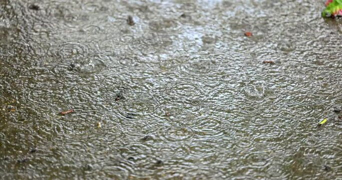 Rain hitting puddle of mud on the ground