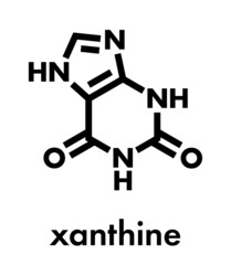 Xanthine purine base molecule. Skeletal formula.