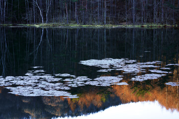 まだ寒い早春の朝日を浴び始めた山の池の風景