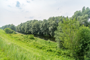 Fototapeta na wymiar Wda river at summer time in Poland.