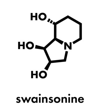 Swainsonine locoweed toxin molecule. Present in Astragalus, Oxytropis and Swainsona plant species. Skeletal formula.