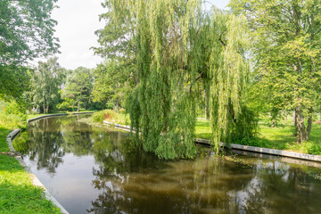Fototapeta na wymiar Wierzyca river in city park of Starogard Gdanski.
