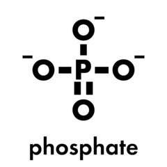 Phosphate anion, chemical structure. Skeletal formula.
