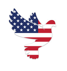 beautiful peace dove with usa flag