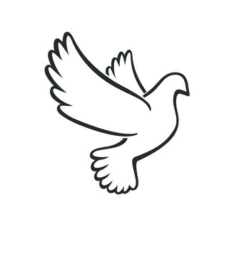 recommend clip art: beautiful white peace dove outline