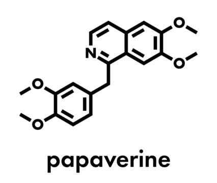 Papaverine opium alkaloid molecule. Used as antispasmodic drug. Skeletal formula.