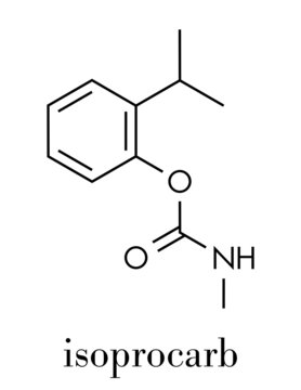 Isoprocarb insecticide molecule. Skeletal formula.