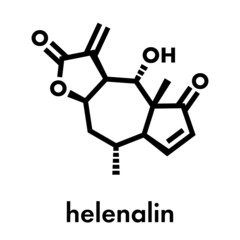 Fototapeta premium Helenalin sesquiterpene lactone molecule. Toxin found in Arnica montana. Skeletal formula.