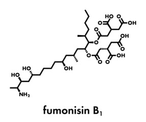 Fumonisin B1 mycotoxin molecule. Fungal toxin produced by some Fusarium molds, often present in corn and other cereals. Skeletal formula.
