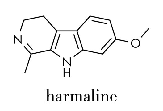 Harmaline indole alkaloid molecule. Found in Syrian rue (Peganum harmala). Skeletal formula.