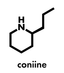 Coniine herbal toxin molecule. Present in poison hemlock (Conium maculatum). Skeletal formula.