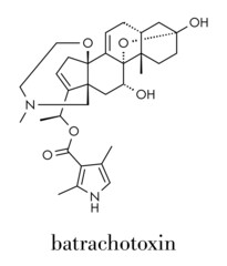 Batrachotoxin (BTX) neurotoxin molecule. Found in number of animals, including poison dart frogs. Skeletal formula.