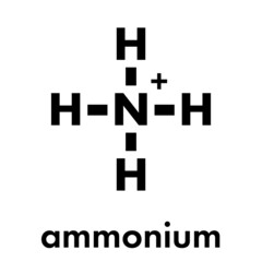 Ammonium cation. Protonated form of ammonia. Skeletal formula.