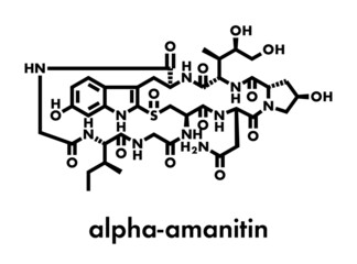 Alpha-amanitin death cap toxin molecule. Present in many Amanita mushrooms. Skeletal formula.