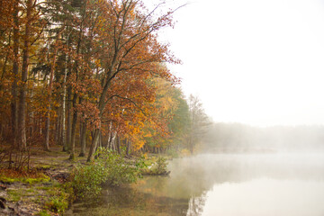 Fototapeta premium Jesień