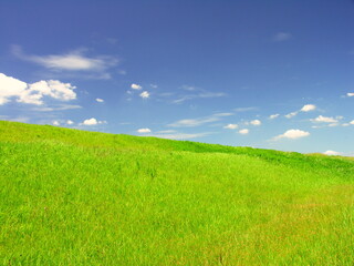 真夏の江戸川土手風景
