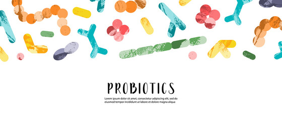 Probiotics. Lactic acid bacteria. Good microorganisms for gut, intestinal flora health. Microflora. Microbiome. Bifidobacterium, lactobacillus,  lactococcus, thermophilus streptococcus. Vector banner - 464987991