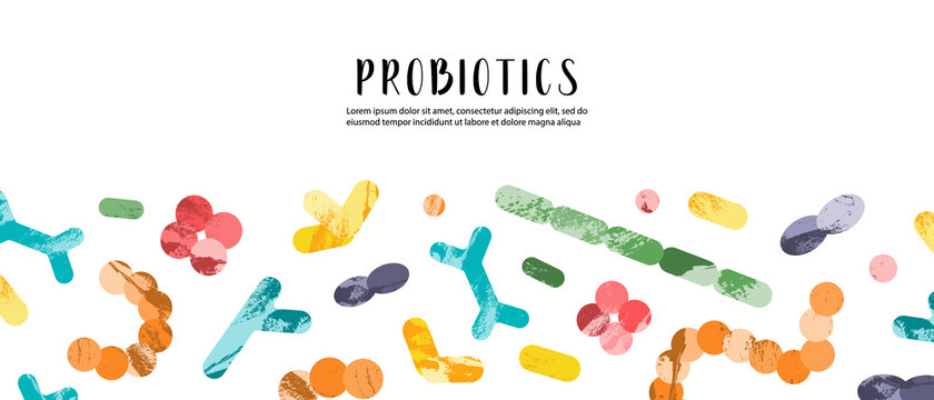 Probiotics. Lactic acid bacteria. Good microorganisms for gut, intestinal flora health. Microflora. Microbiome. Bifidobacterium, lactobacillus,  lactococcus, thermophilus streptococcus. Vector banner