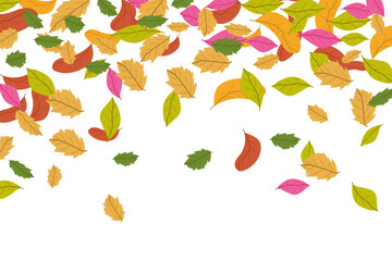 Fototapeta premium colorful leaves falling on a white background