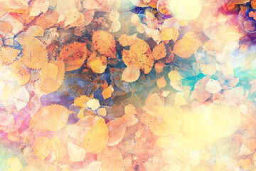 fallen leaves autumn abstract background, yellow leaves, october in the park, seasonal design