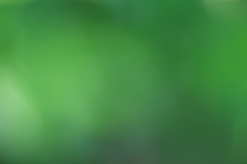 abstract green summer bokeh background, gradient view art texture glow