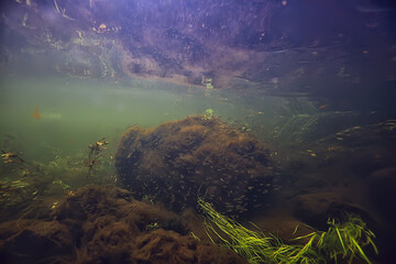 Fototapeta na wymiar abstract underwater background in the lake, clean freshwater
