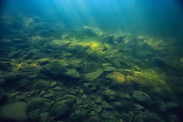 Foto op Aluminium multicolored underwater landscape in the river, algae clear water, plants under water © kichigin19