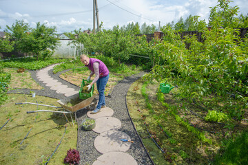 gardener mulching flower bed with pine tree bark mulch