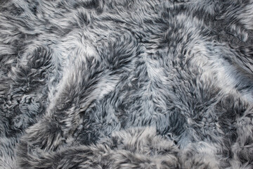 Abstract gray fur background texture close-up