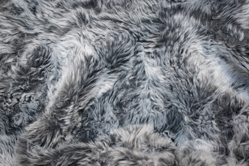 Abstract gray fur background texture close-up