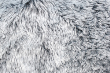 Abstract gray fur background texture close-up