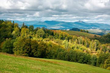 Fototapeta na wymiar mountain landscape in early autumn. trees and meadows on rolling hill in dappled light. sunny nature scenery with cloudy sky on a sunny and windy day