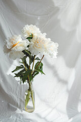 bouquet of peonies flowers