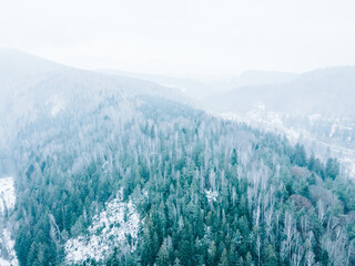 aerial top view of winter forest in mountains