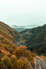 Landscape of the Bulgarian mountains in one of the national parks.