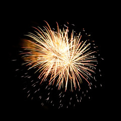 Colorful celebration fireworks isolated on black sky background.