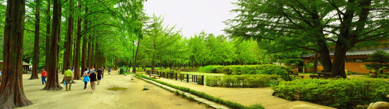 Beautiful landscape in Nami Island, Naminara republic, South Korea; taken in July 2016. Naminara is an amusement park on Nami Island. It was the well-known place from Korean series, Winter Sonata.