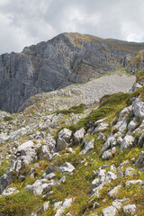 Fototapeta na wymiar Panoramic view of the peak of Monte Terminillo in the summer season