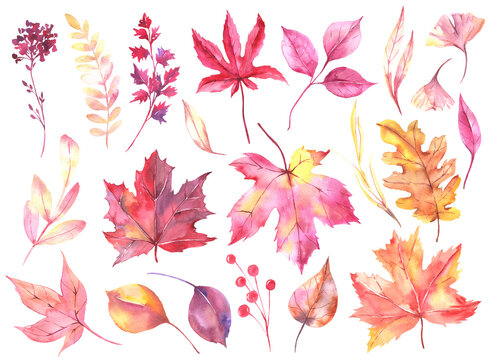 Watercolor fall invitations leaves collection , branches of pink, yellow, red leaves. Romantic floral bouquet perfect for autumn greeting cards, invitation. High quality illustration