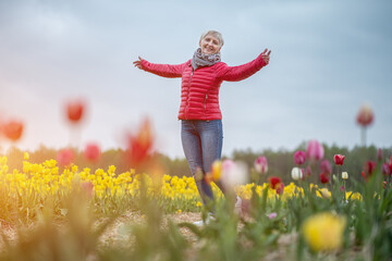 senior woman walking by vivid blossoms of flowers on Netherlands tulip fest