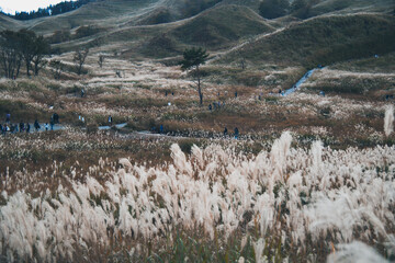 秋の山と空とすすき