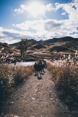 秋の山と空とすすき