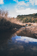 秋の山と空とすすき