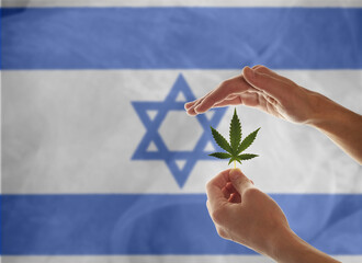 Woman's Hand Holding a Marijuana Leaf From a Medical Cannabis or CBD Hemp Plant on the background...