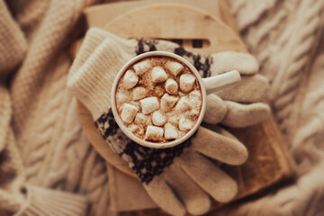 Home comfort in the cold season. Top view of a white cup of hot cocoa with marshmallows and cinnamon, which stands on wool patterned gloves and old books that are on a patterned sweater. Hygge. 
