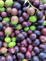 olives market