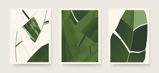 Fotobehang Aesthetic minimalist abstract botanical illustrations. Contemporary wall decor. Collection of trendy artistic posters.  © Irina