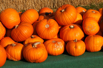 decorative pumpkins;